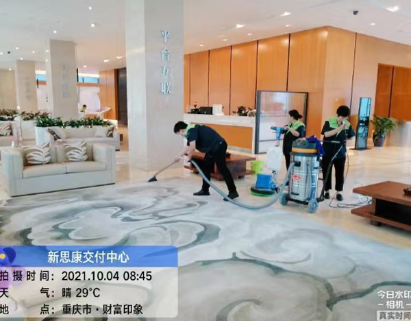 地毯清洗消毒除螨